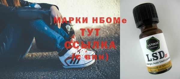 крисы Верхний Тагил