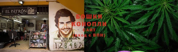 крисы Верхний Тагил