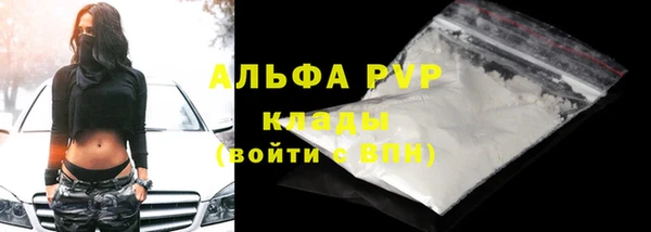 крисы Верхний Тагил