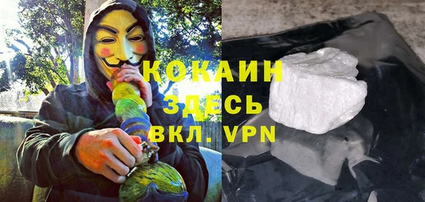 крисы Верхний Тагил