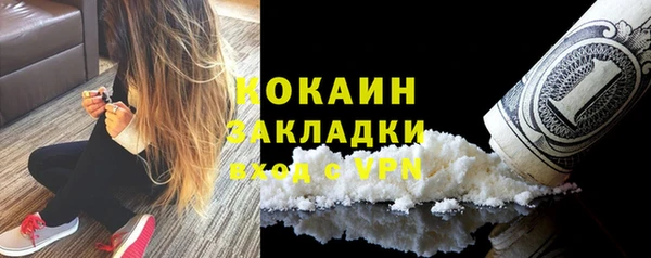крисы Верхний Тагил